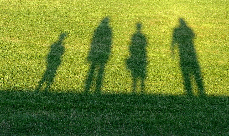 family law grass and shadows